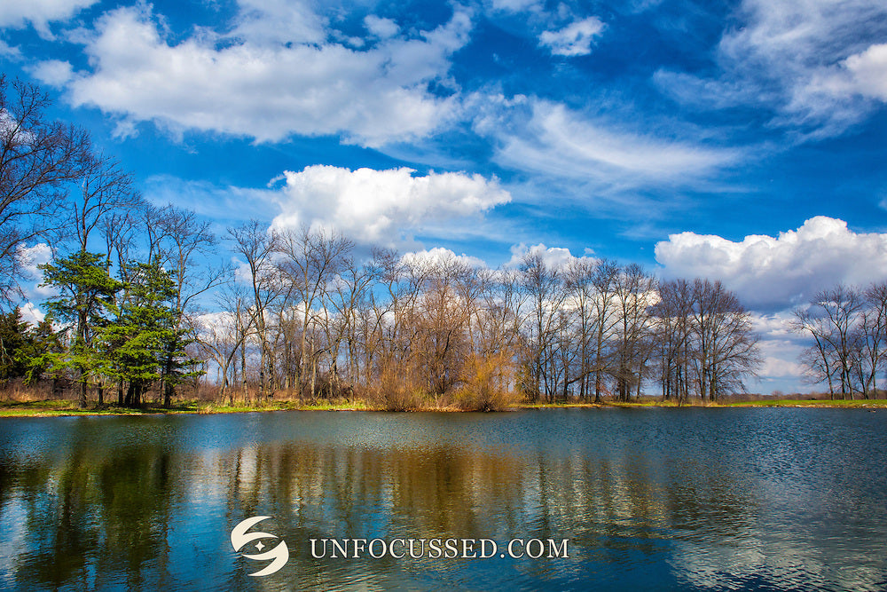 Bare and newly leafing trees along a blue lake beneath bright white clouds, with green foliage at the left bank.