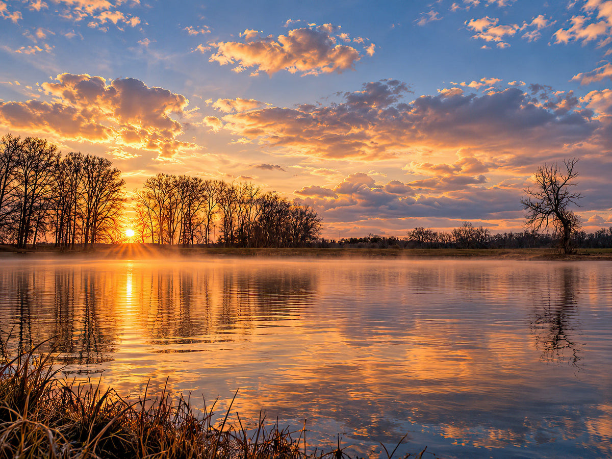 Warm horizon light behind bare trees reflected across a quiet Busch lake