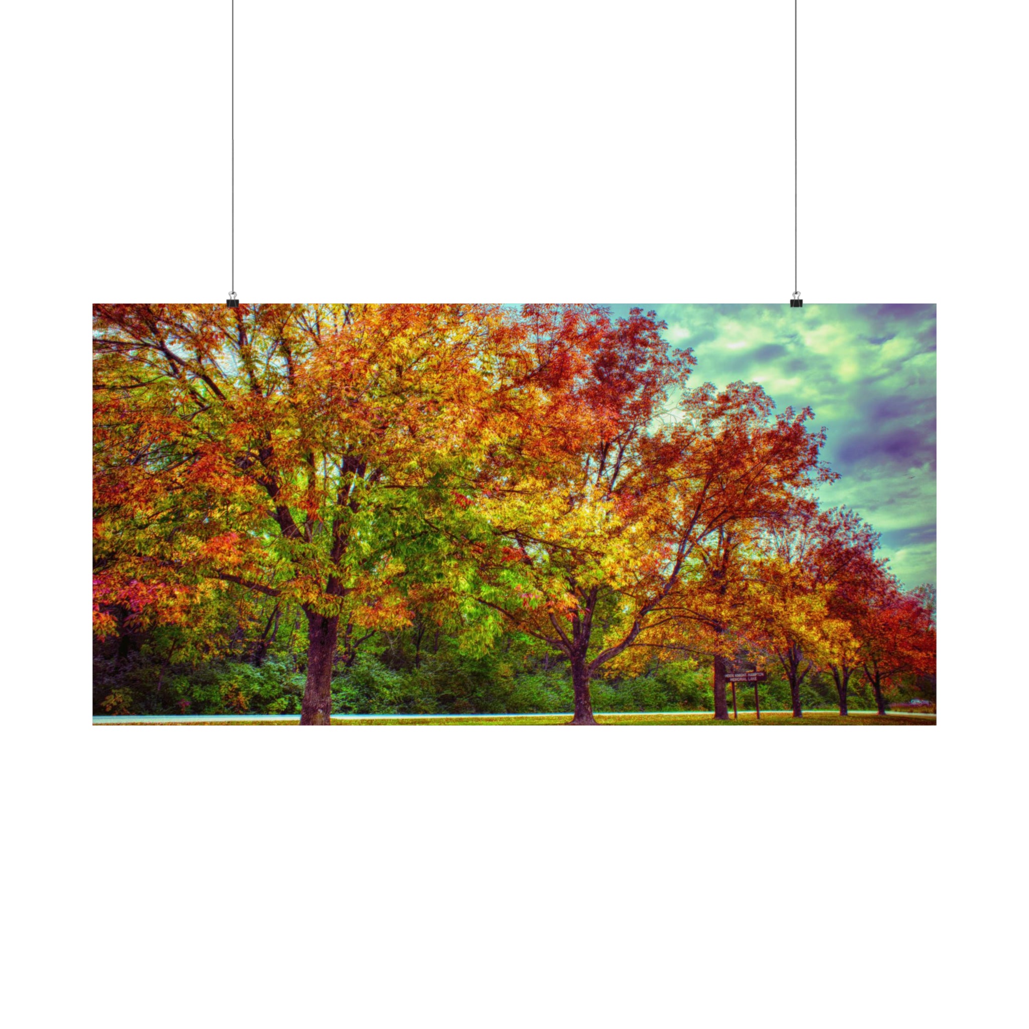 Autumn Tree Line at Busch Poster