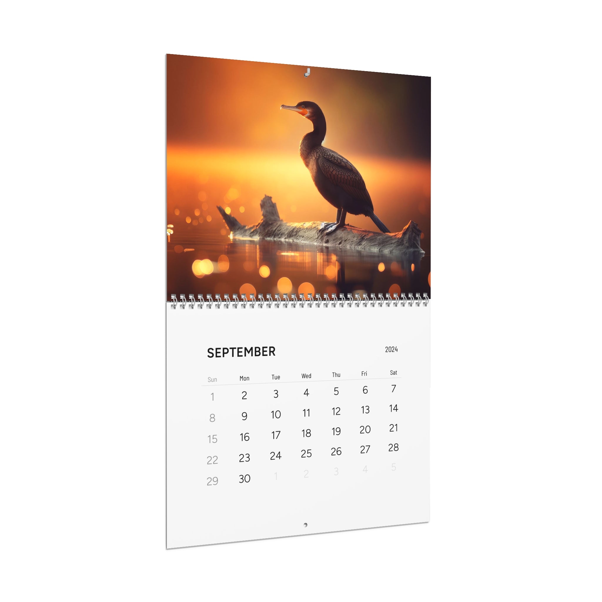 Missouri Large Birds Calendar (2024)