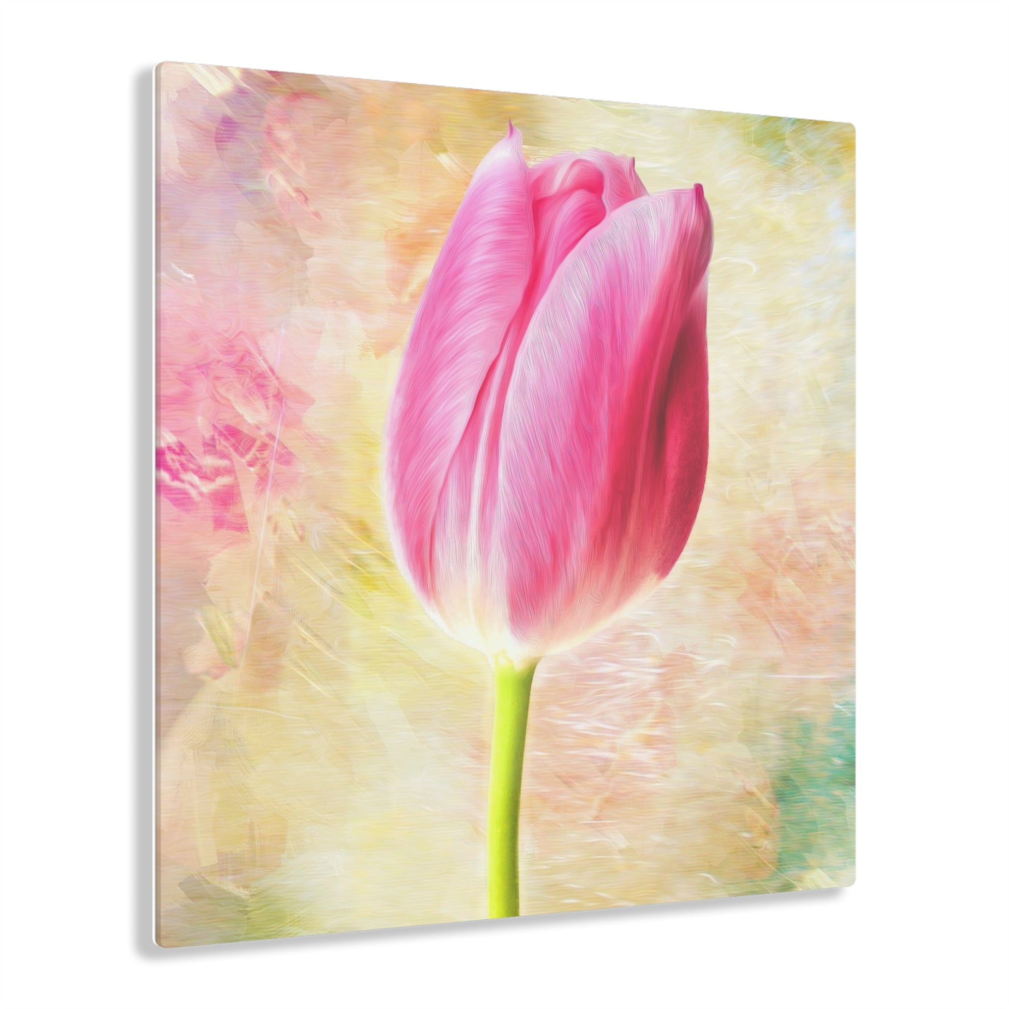 Tulip Positano Acrylic Print