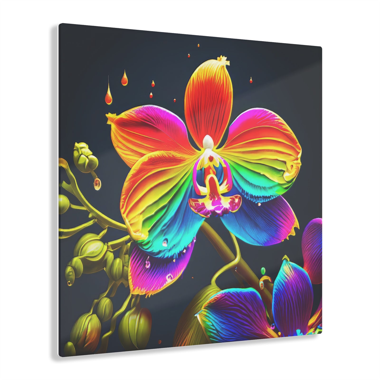 Rainbow Orchid Dripz G Acrylic Print