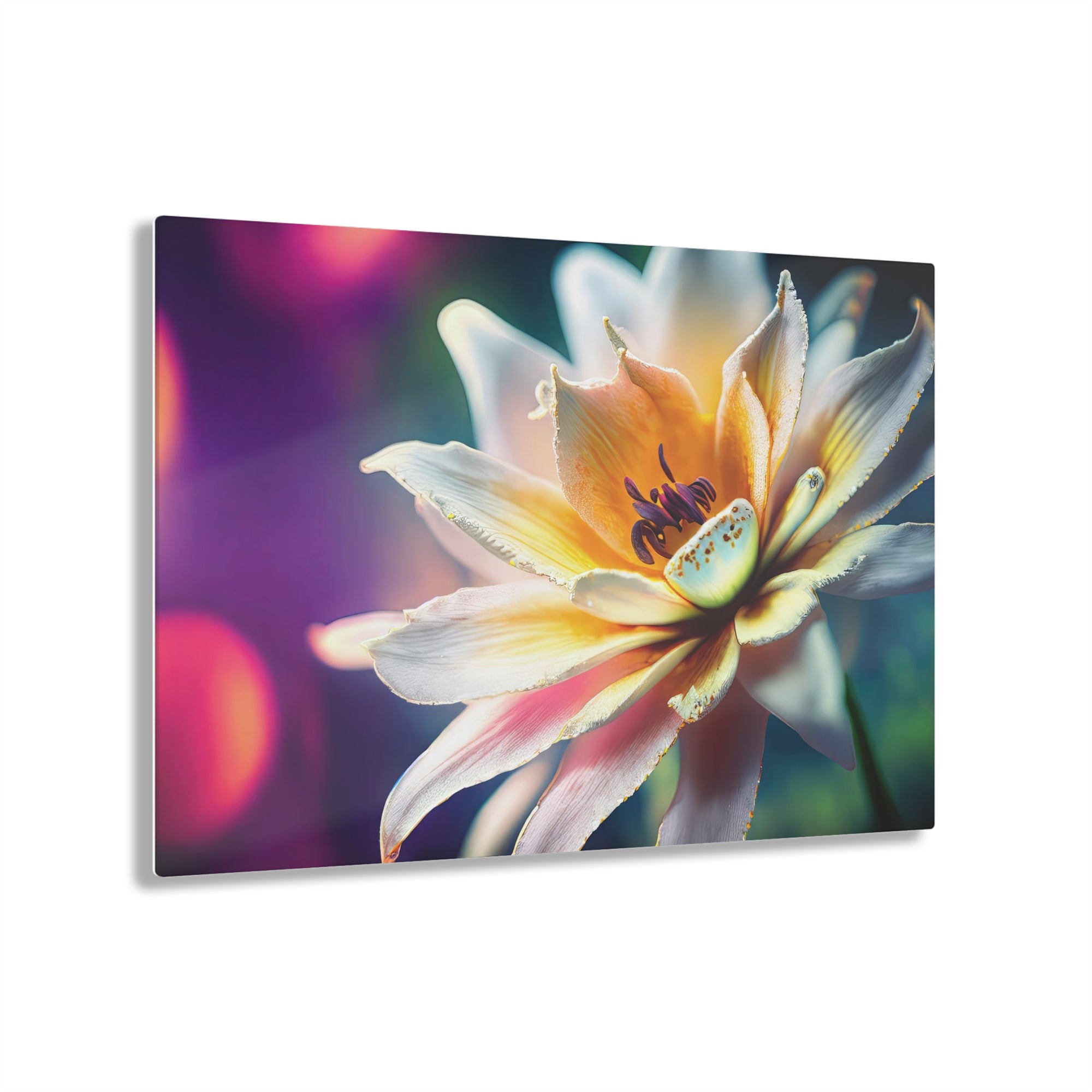 Lily In The Lights Acrylic Print