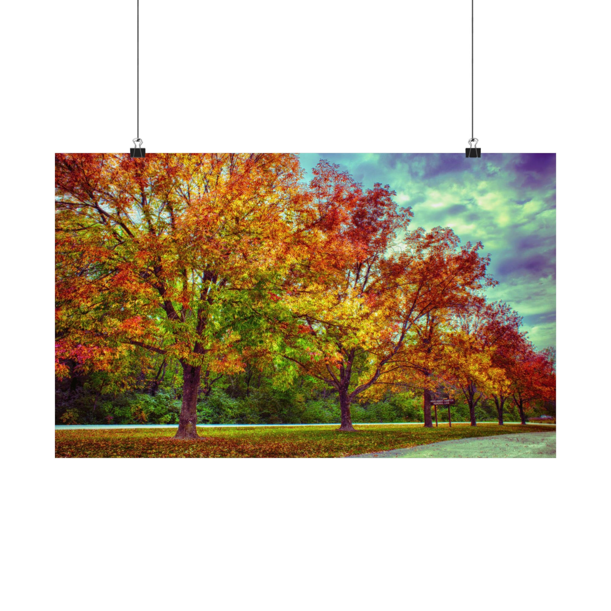 Autumn Tree Line at Busch Poster
