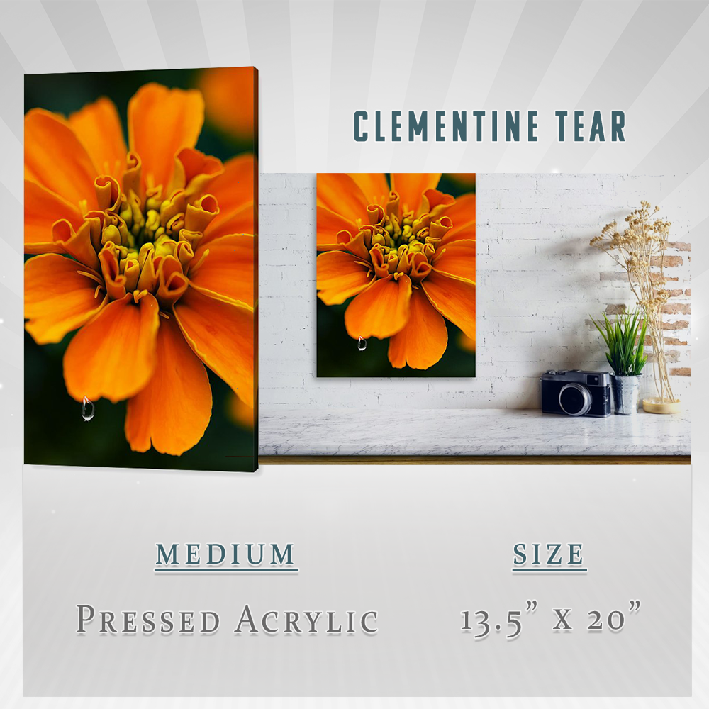 Clementine Tear Acrylic Print