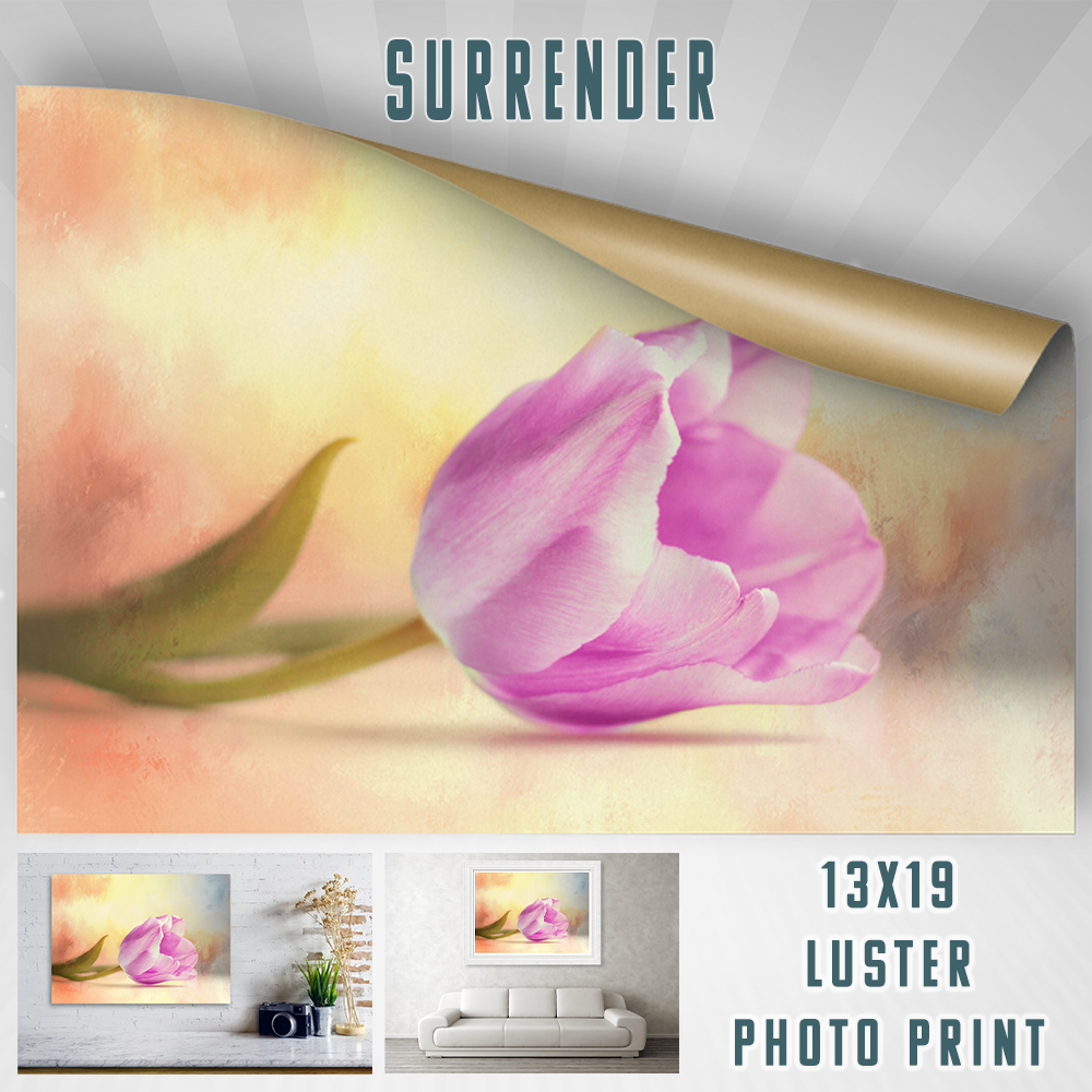 Surrender 13×19 Print