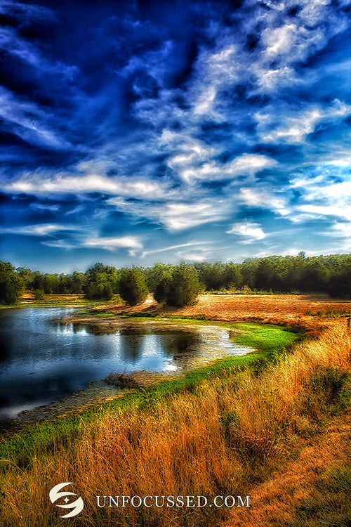 Golden grass curves around a lake beneath textured blue and white clouds at Broemmelsiek Park.