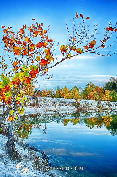 Orange and yellow leaves on a foreground tree beside pale shoreline and blue lake at Klondike Park.