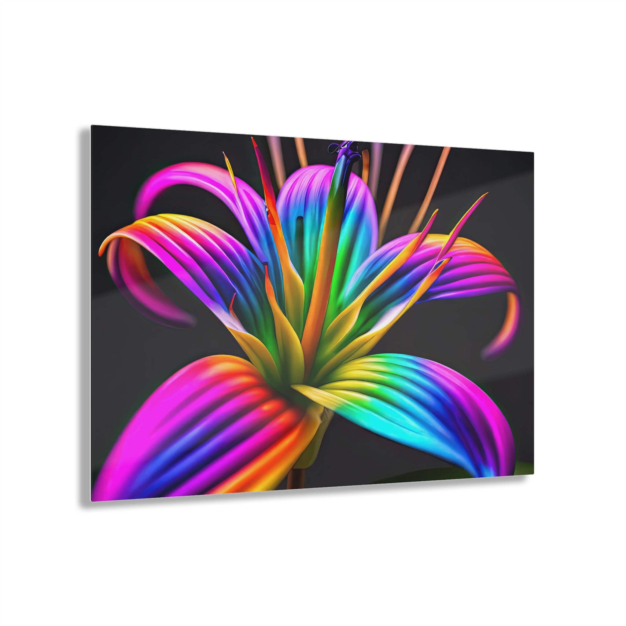 Aspiraciones de Rainbow Lily Lámina Acrílica