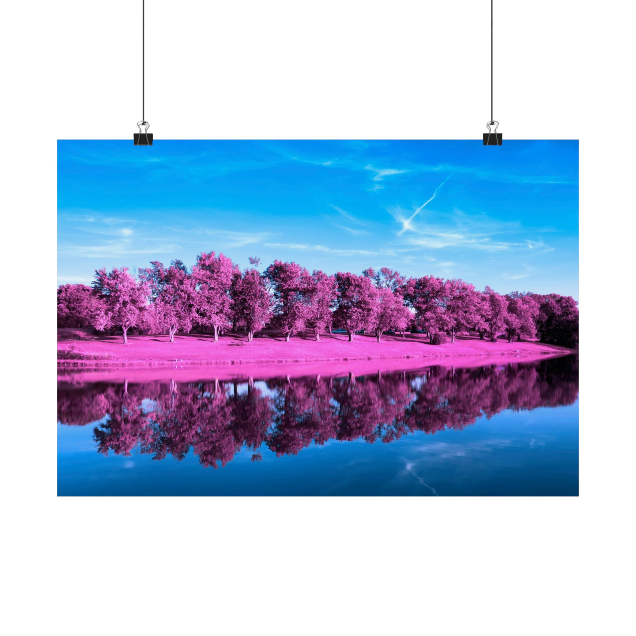 Parque Broemmelsiek - Reflejos IR Póster
