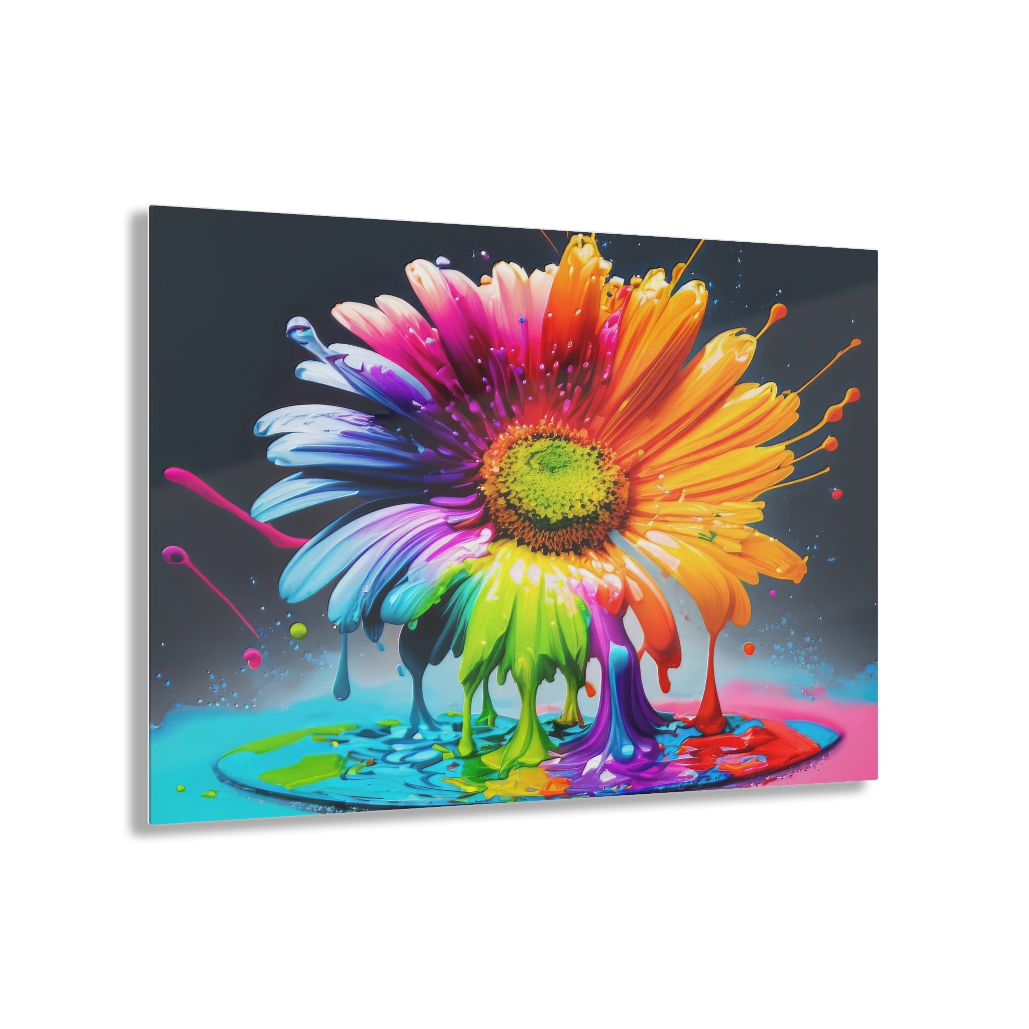 Gerber Daisy Dripz - H