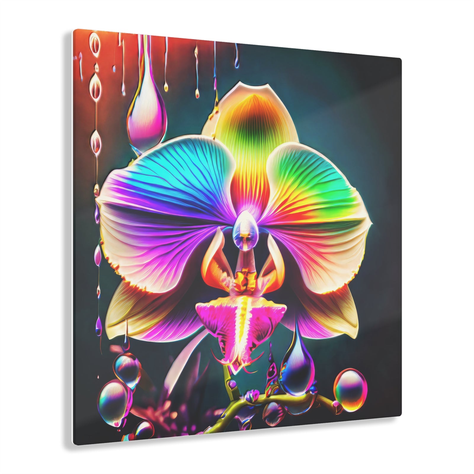 Impresión Acrílica Sueño de goteo de orquídea