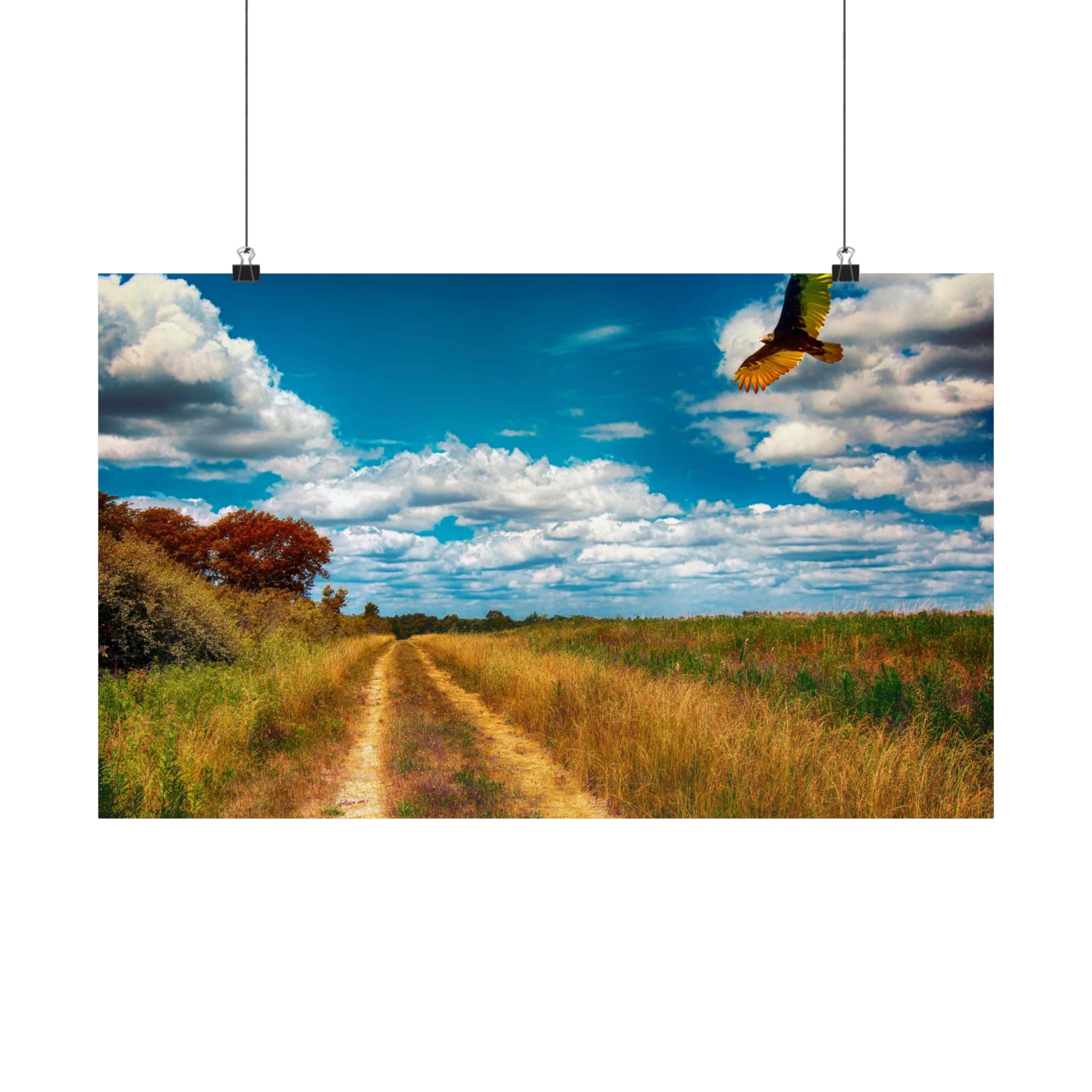 Along the Hiking Trail Poster