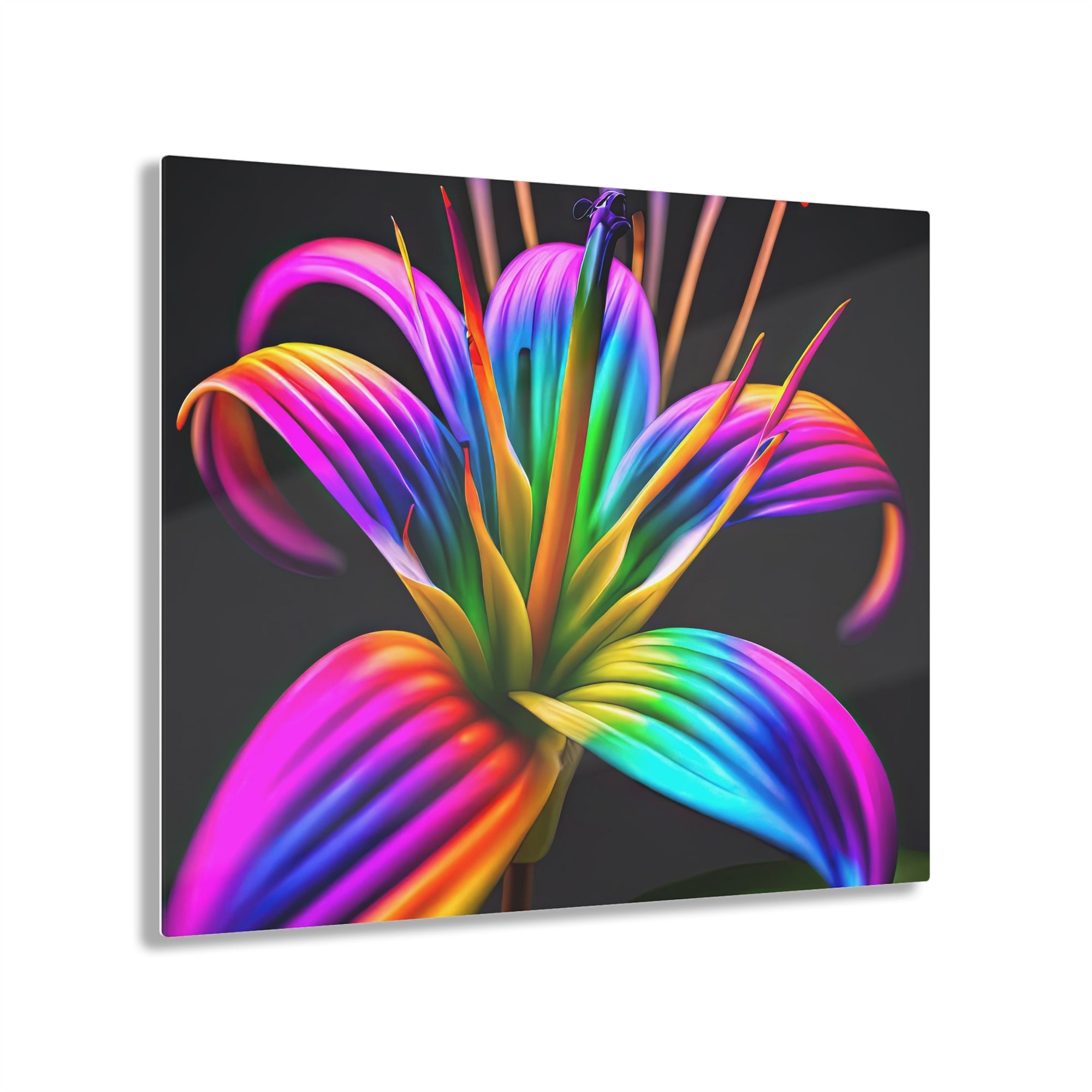 Aspirations de Lily arc-en-ciel Impression sur verre acrylique