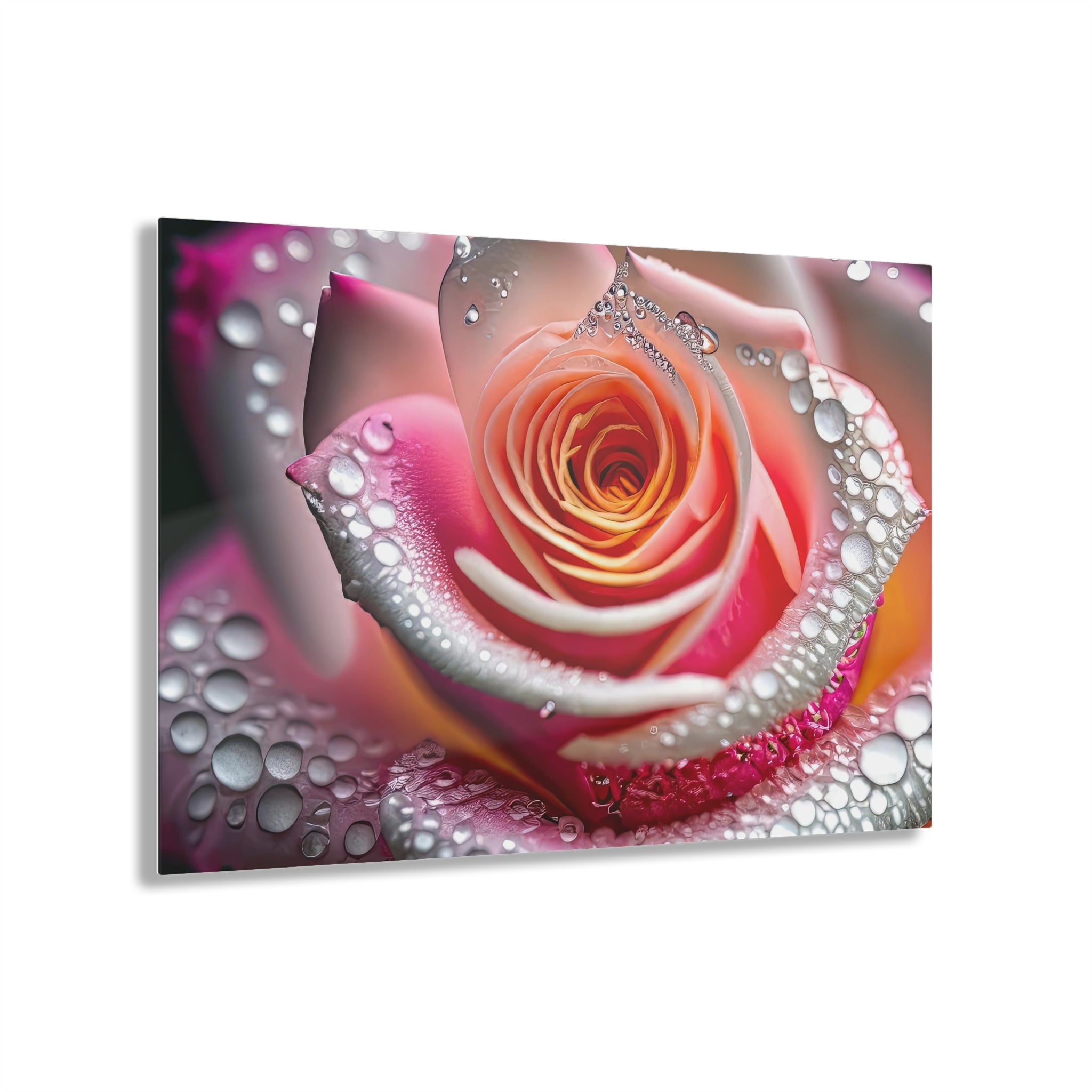 Dazzling Rosy Dew Acrylic Print