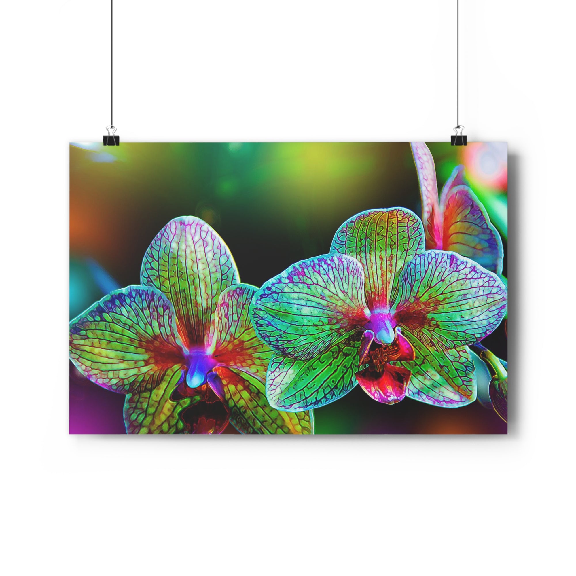 Orquídeas alienígenas Lámina artística