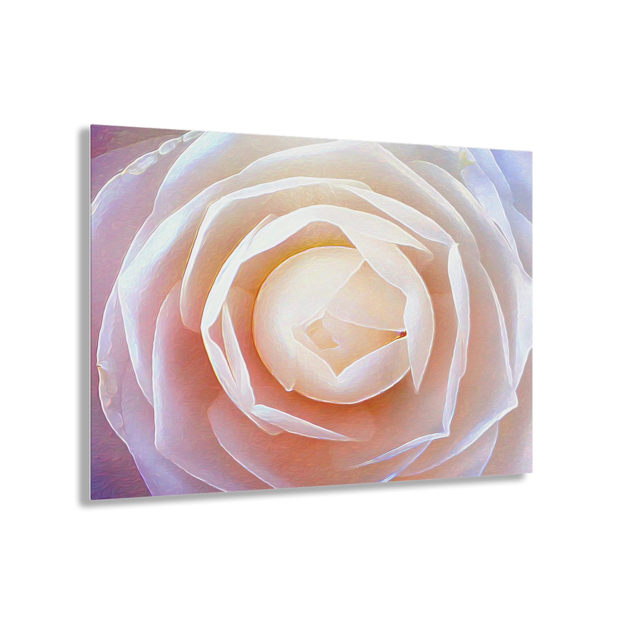 Rosy White Highlights Acrylic Print