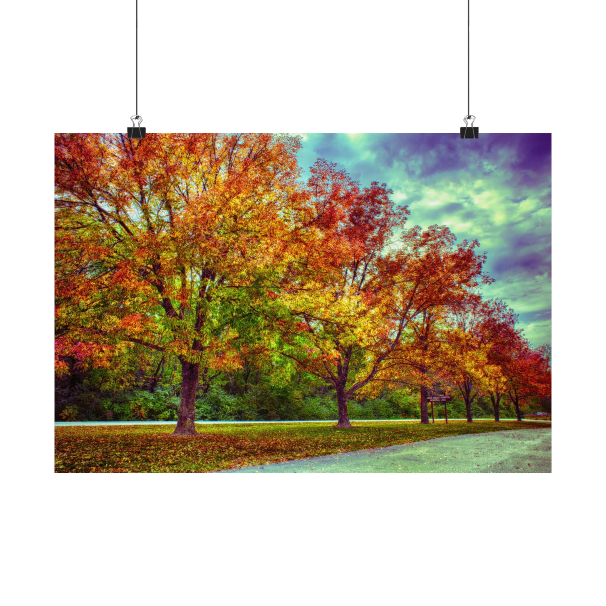 Ligne des arbres d'automne à Busch Poster