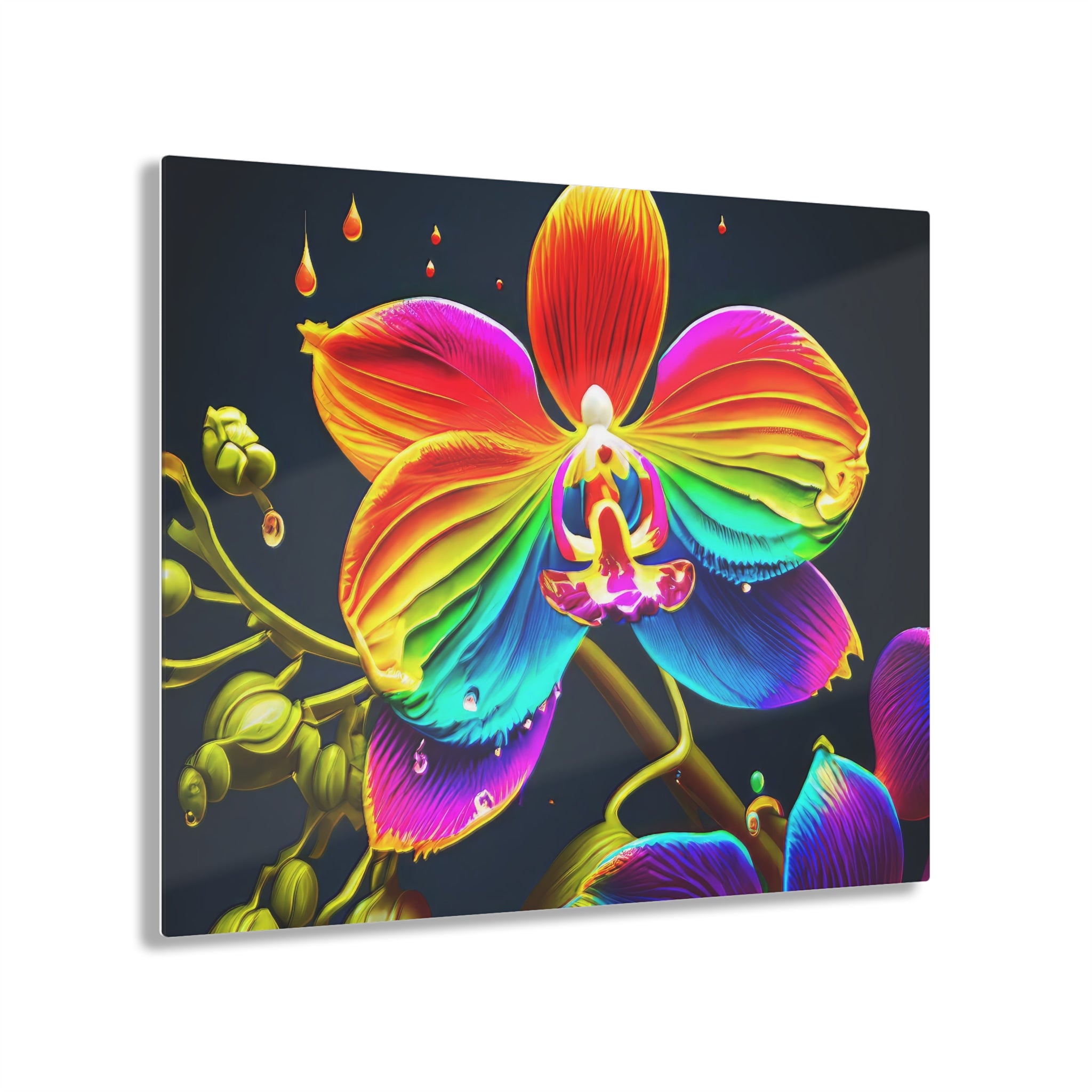 Orchidée arc-en-ciel Dripz G Impression sur Acrylique