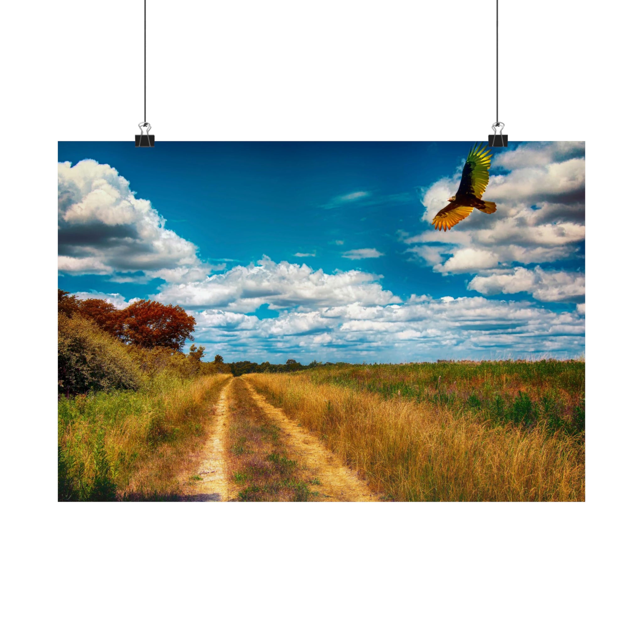 Le long du sentier de randonnée Poster