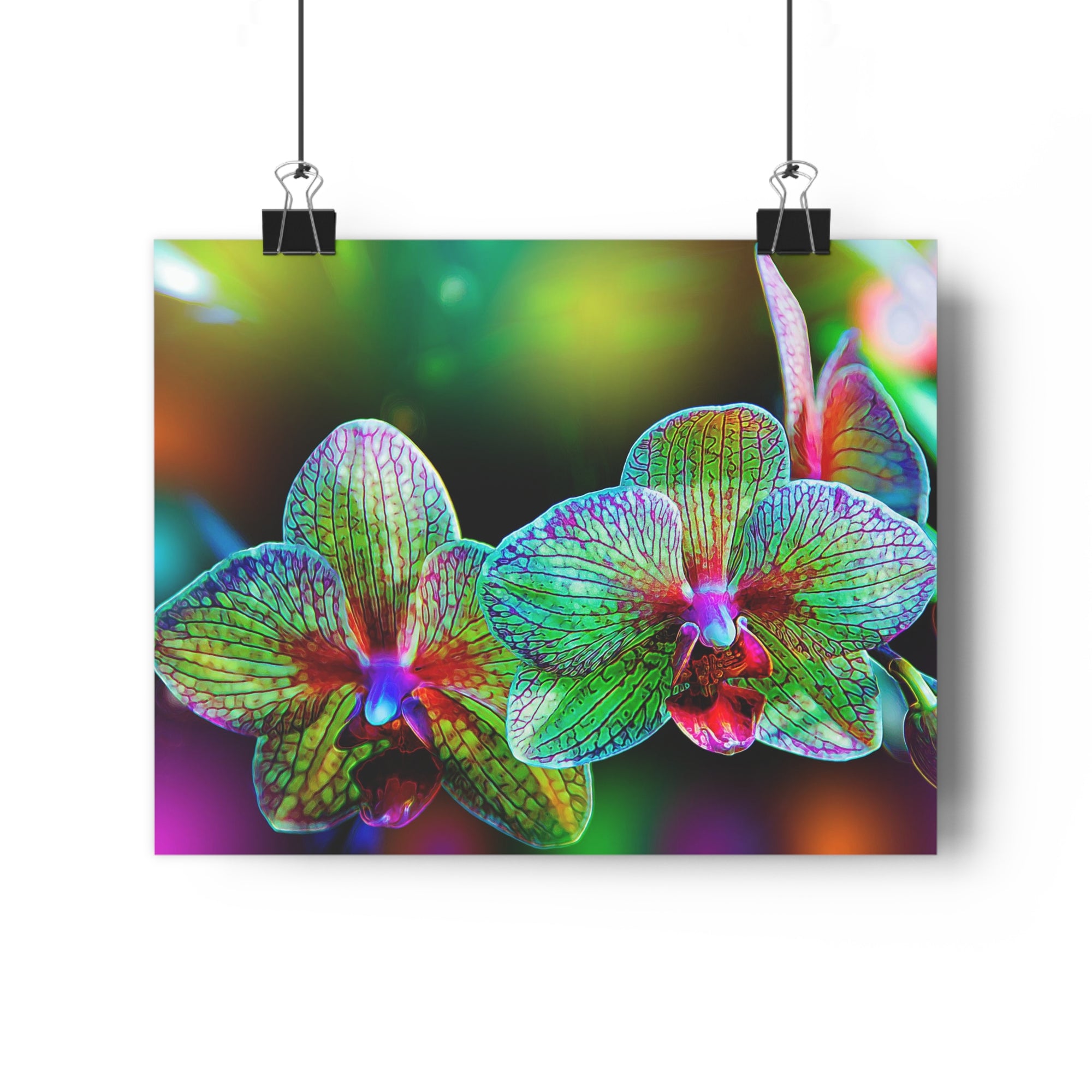 Orquídeas alienígenas Lámina artística