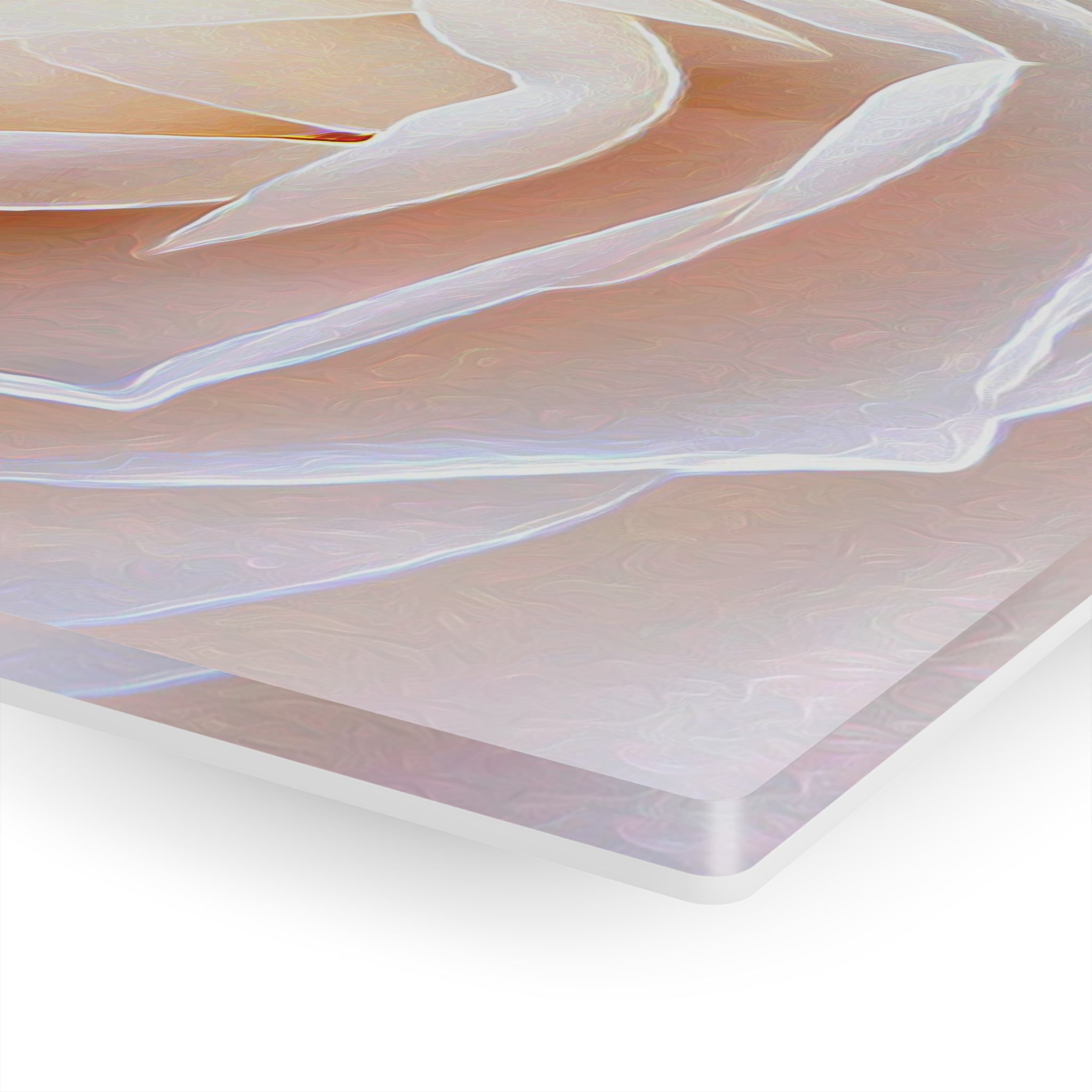 Rosy White Faits saillants Impression sur Verre Acrylique