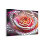 Dazzling Rosy Dew Acrylic Print