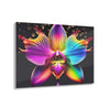 Rainbow Orchid Dripz Une impression sur verre acrylique