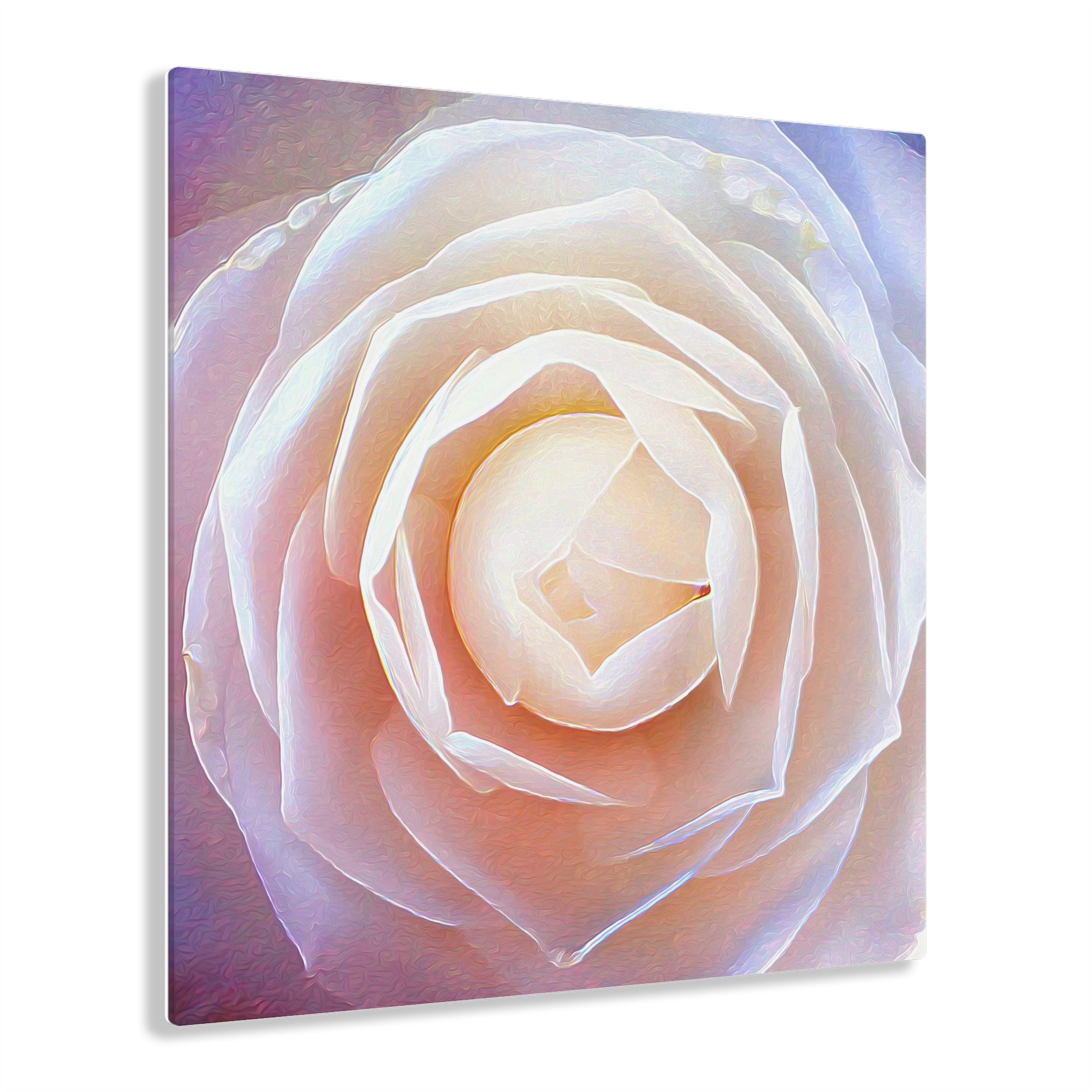 Rosy White Faits saillants Impression sur Verre Acrylique