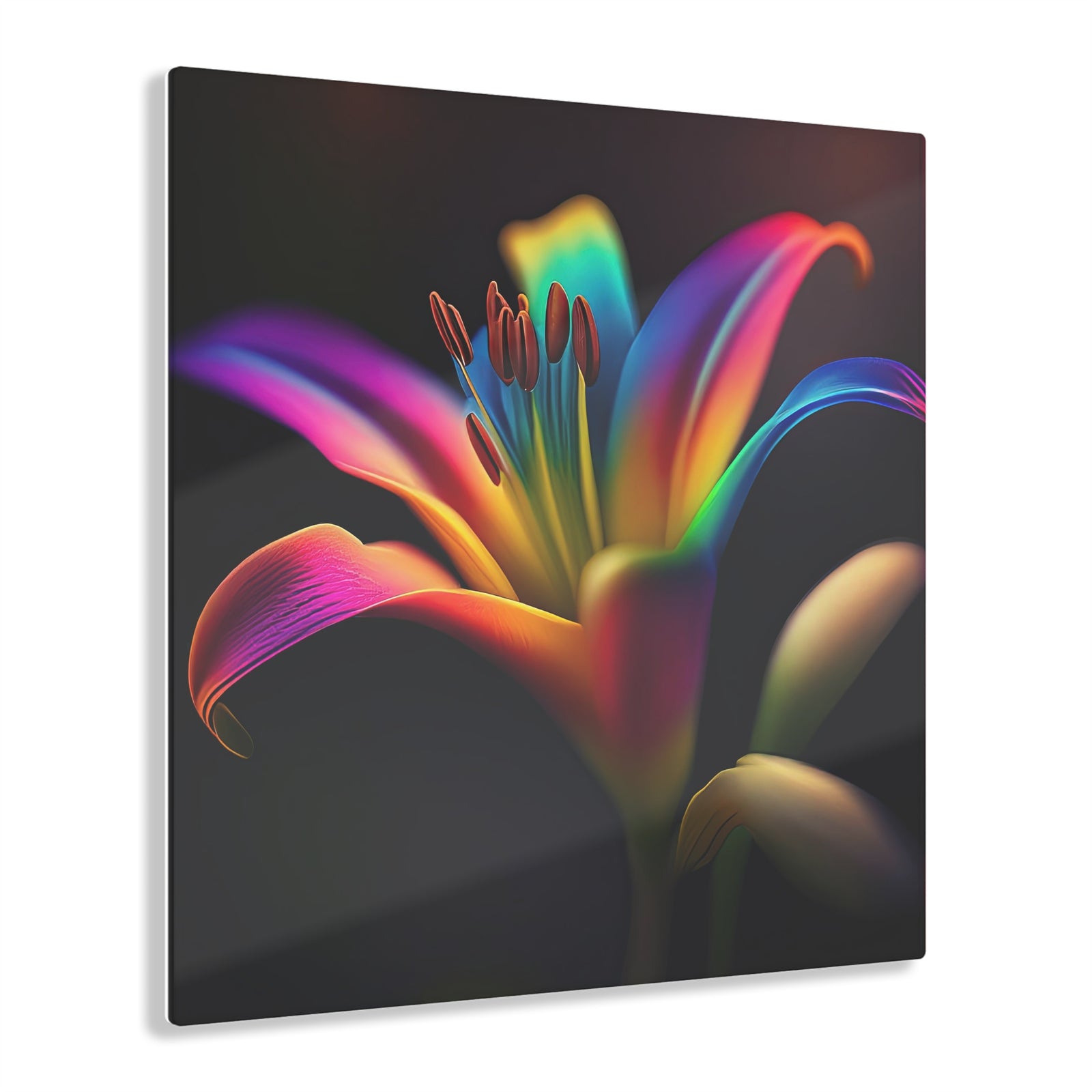 Impression sur Acrylique: Rainbow Lily Delight