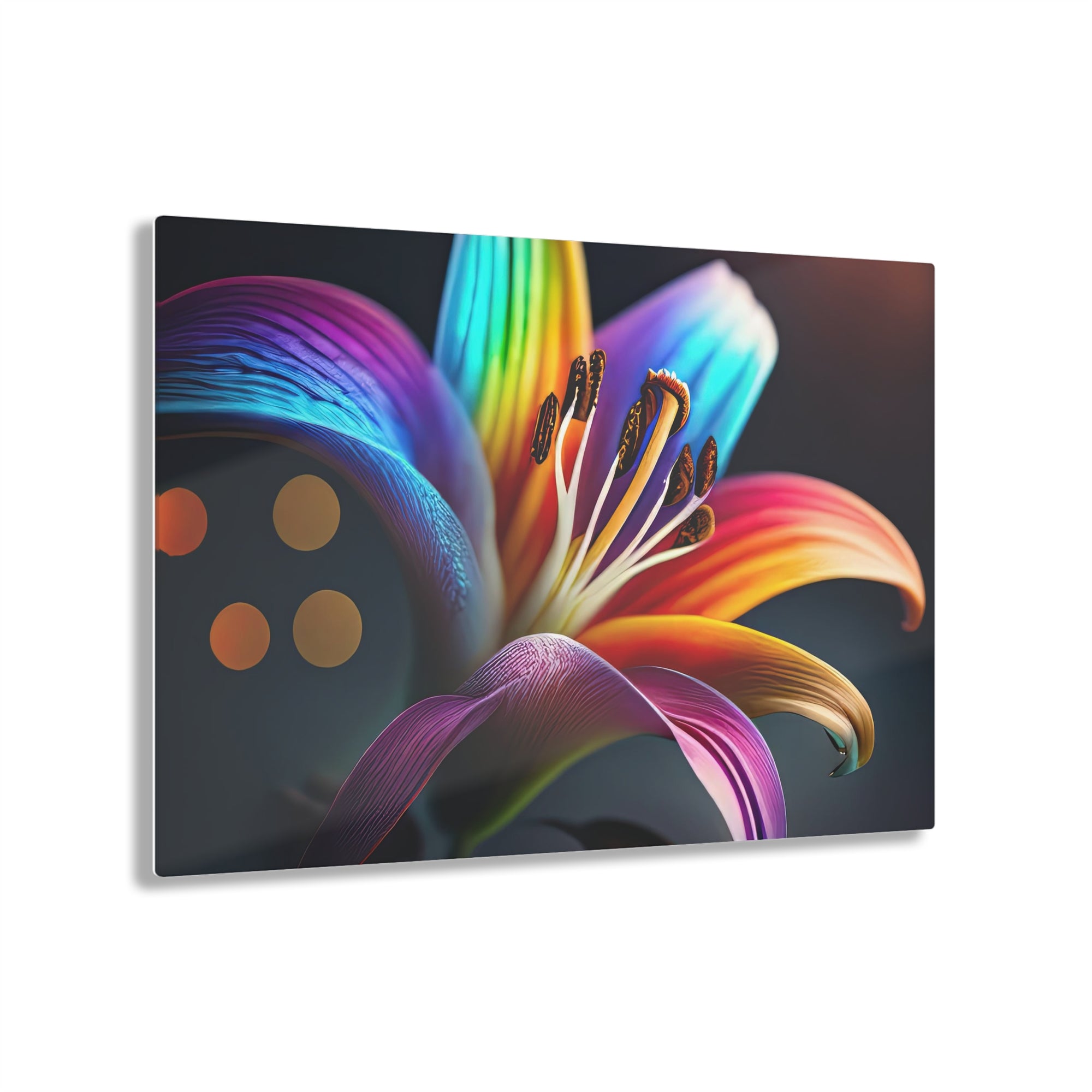 Rainbow Lily se déplie Impression sur Acrylique: