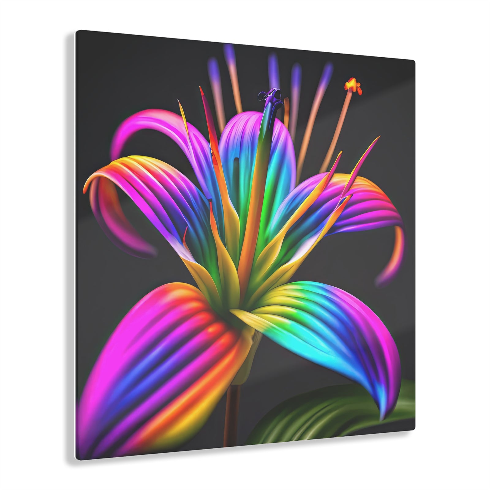 Aspiraciones de Rainbow Lily Lámina Acrílica