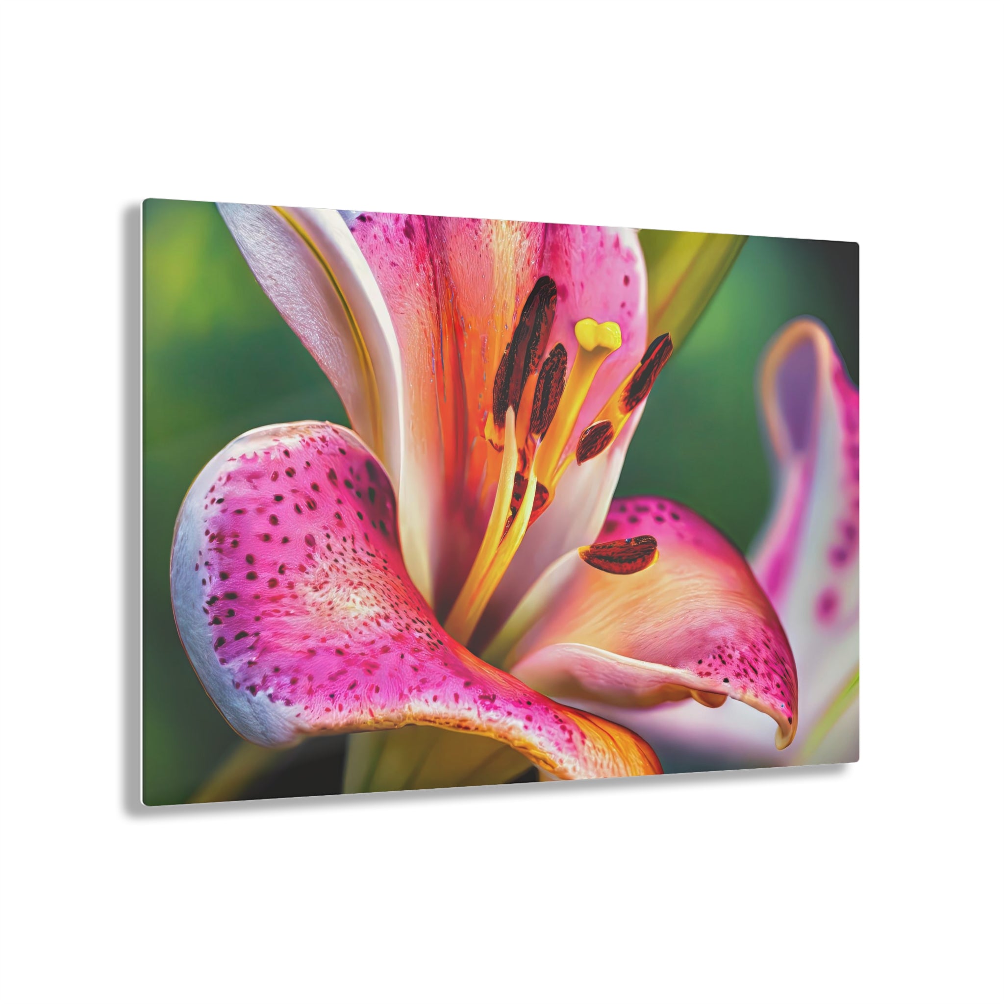 Stargazer Lily Détails Impression sur Verre Acrylique