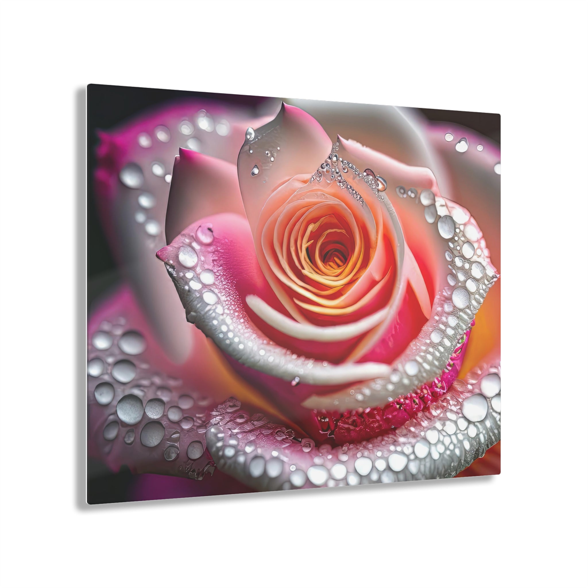 Rosée rosée éblouissante Impression sur Acrylique