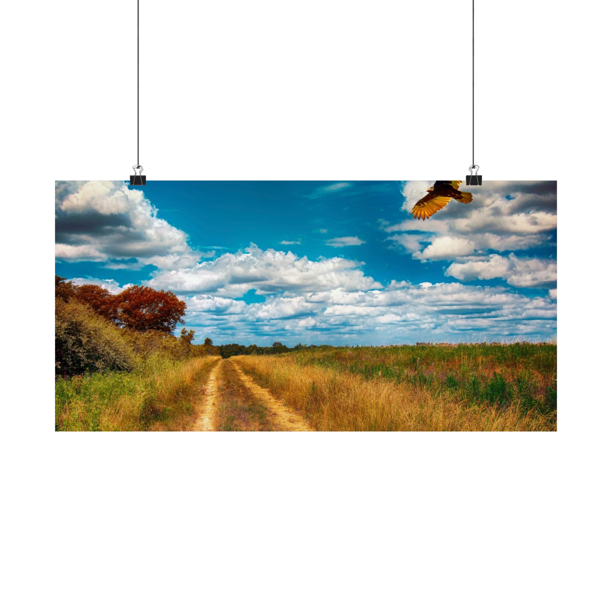 Along the Hiking Trail Poster