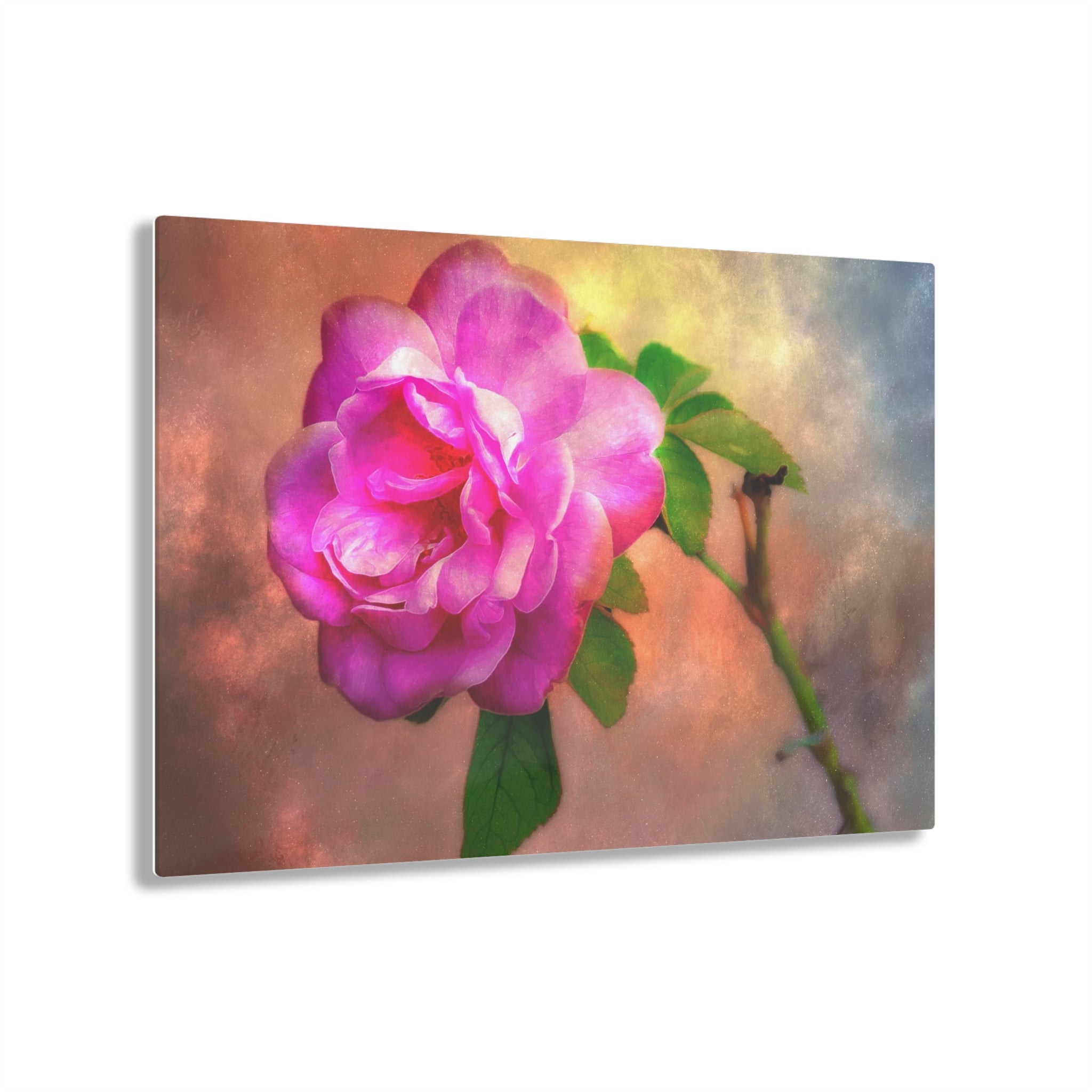 Mystic Rose Acrylic Print