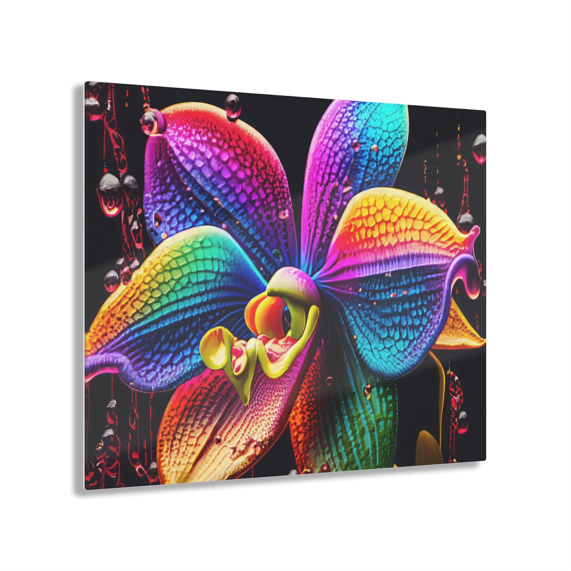 Orchidée arc-en-ciel Dripz E Impression sur Acrylique