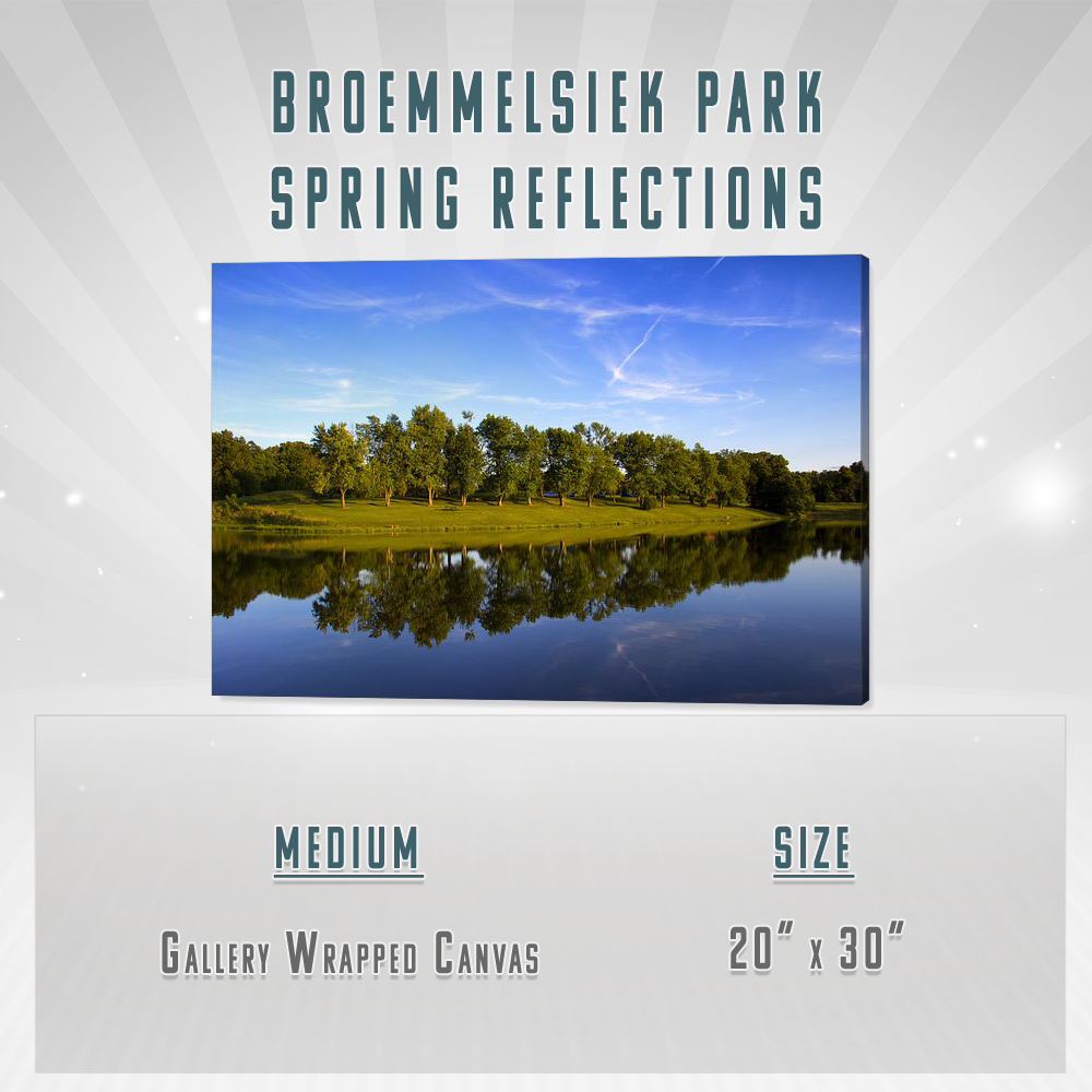 Parque Broemmelsiek - Reflejos primaverales Lienzo
