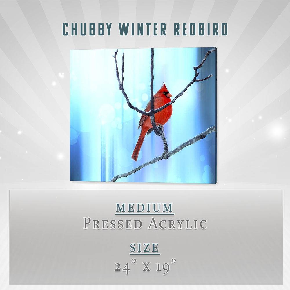 Impression Sur Acrylique Sur Acrylique Chubby Winter Redbird