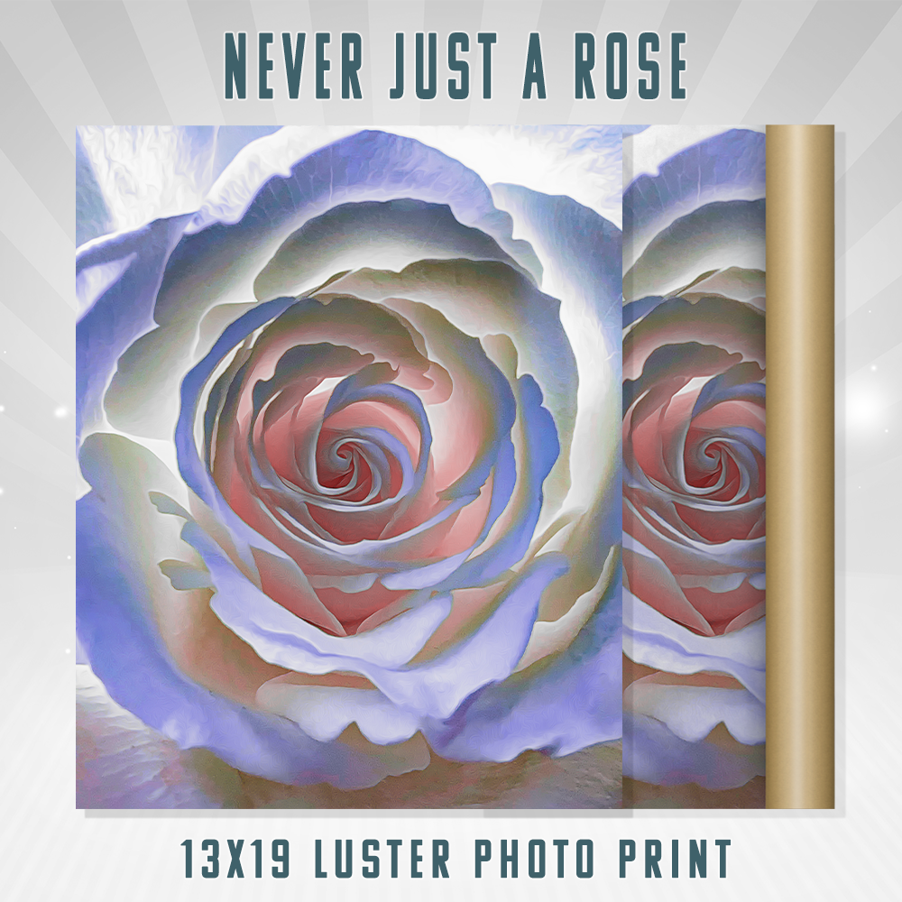Nunca solo una rosa Impresión 13×19
