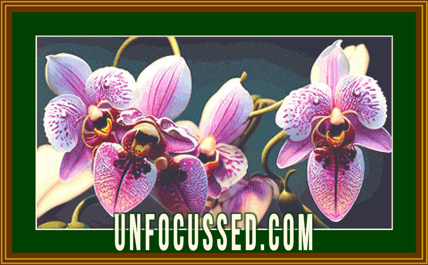Patrón de punto de cruz de fila de orquídeas moradas